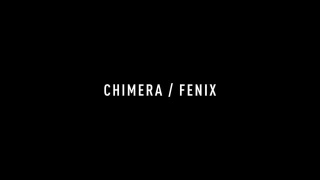 FENIX Tortoise mat Brown pol